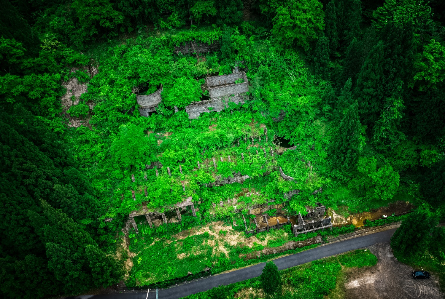 【滋賀】緑に眠る土倉鉱山跡を散策！│一人旅研究会