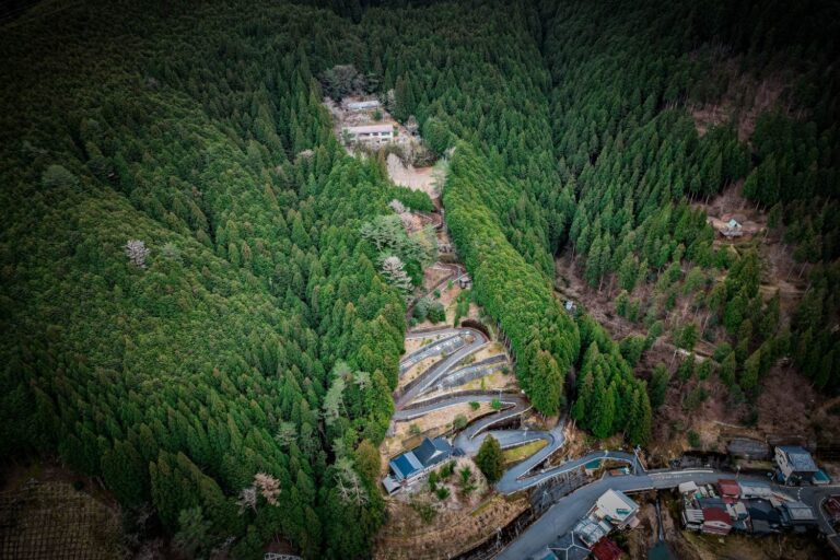 奈良】えぐい道の先の廃校、旧阪本小学校！│一人旅研究会