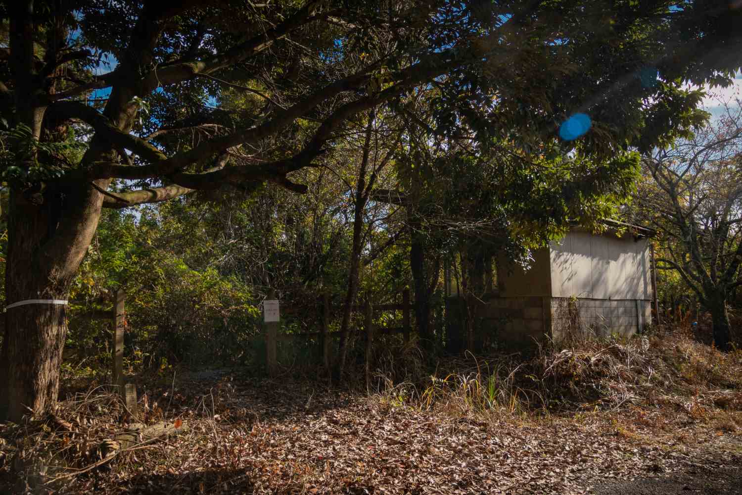 【石川】旧のと鉄道能登線 白丸駅跡を散策!│一人旅研究会