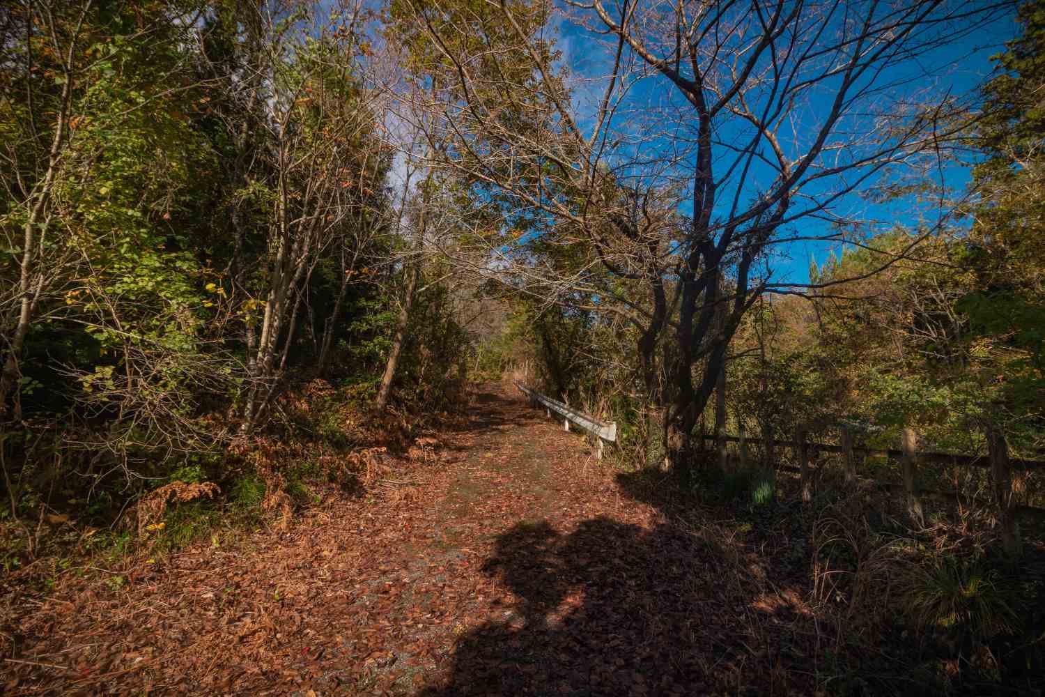 【石川】旧のと鉄道能登線 白丸駅跡を散策!│一人旅研究会