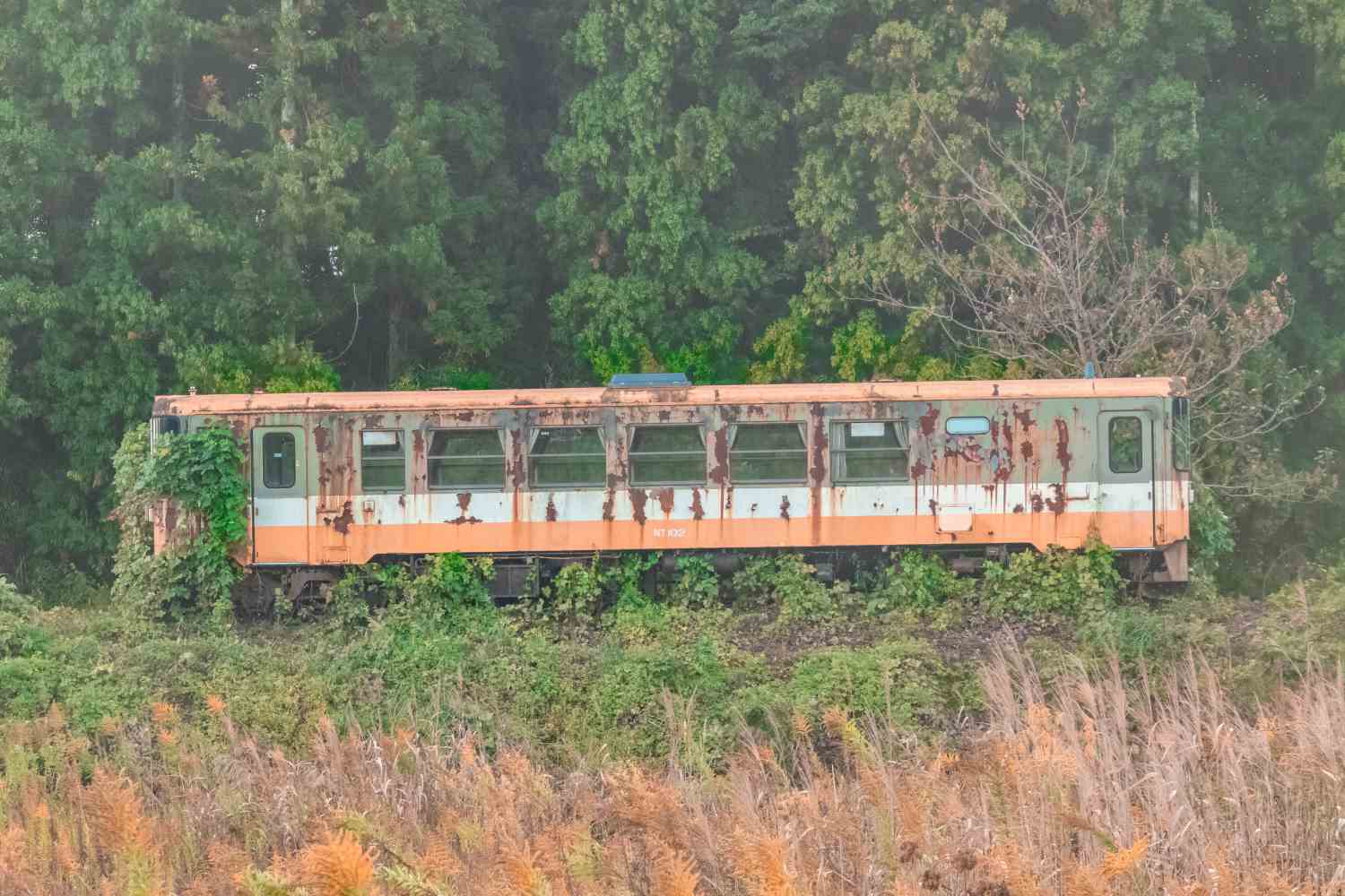 【石川】旧のと鉄道能登線に残された廃列車!│一人旅研究会