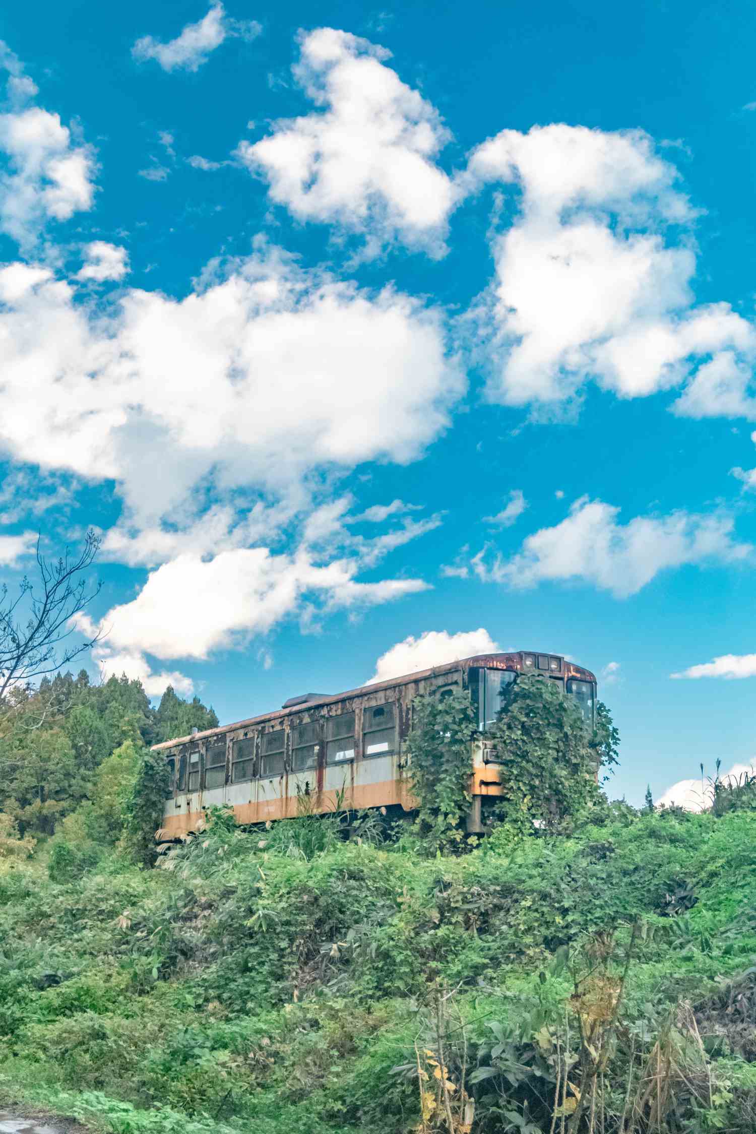 廃列車, 使われなくなった電車 _ 信濃町野尻の廃列車 – MFDZ