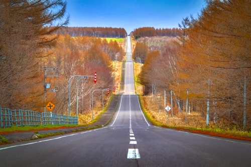 北海道】これぞ北海道の道！どこまでもまっすぐに続く道、中標津町 北