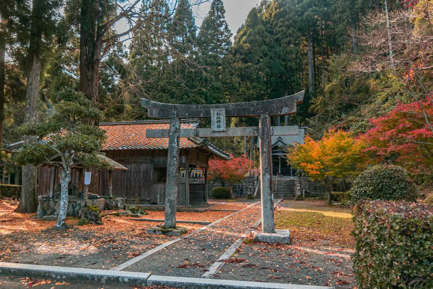 和江 日本の詩集 20 新川和江詩集 - メルカリ