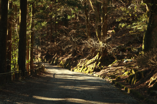 静岡】天城山隧道(旧天城トンネル）を散歩！│一人旅研究会