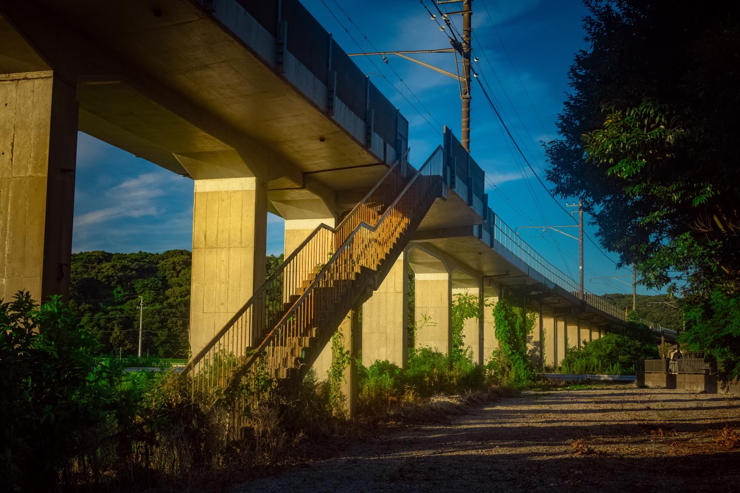 茨城】夕暮れの絶景列車情景、北浦橋梁！│一人旅研究会