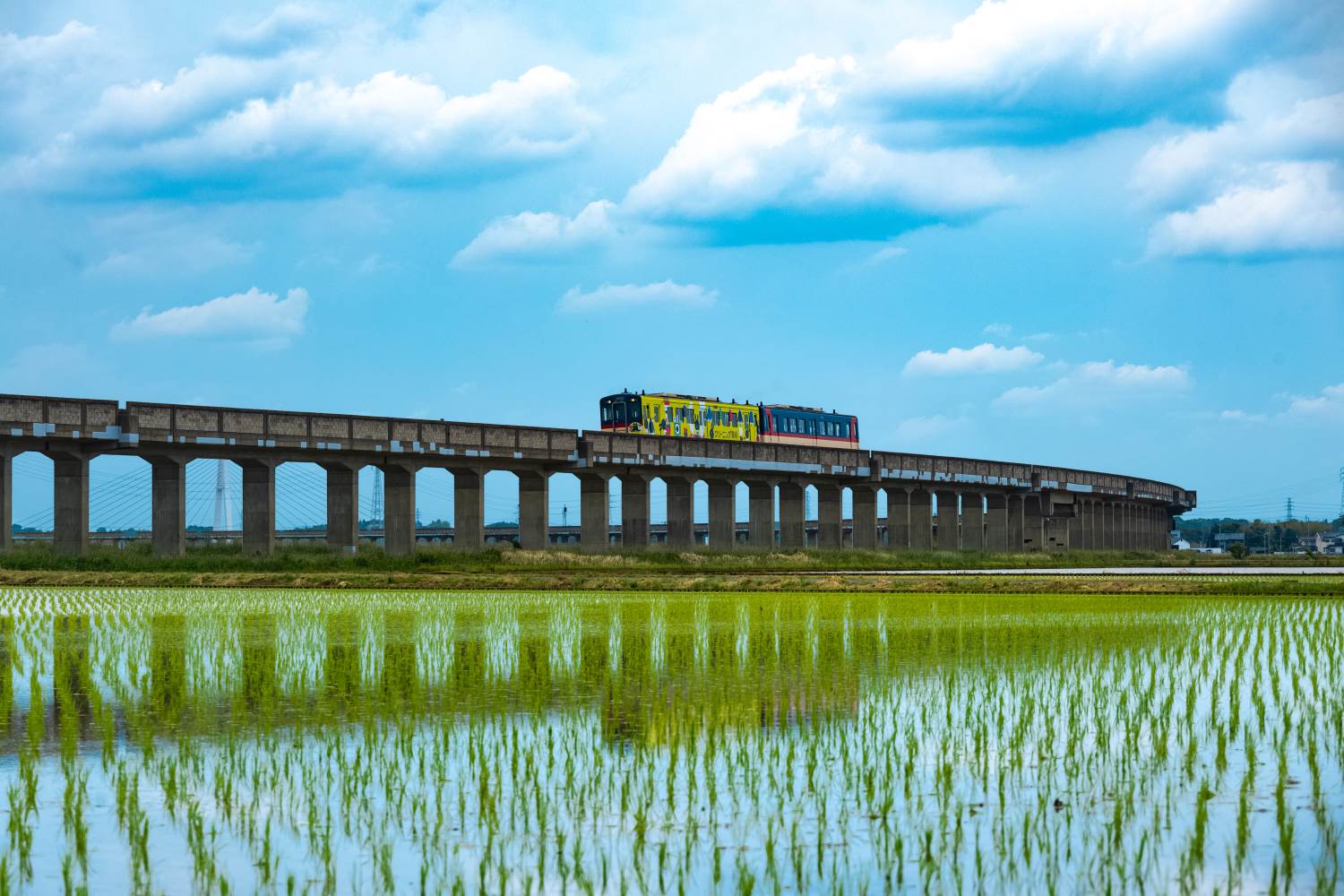 茨城】水田と鹿島臨海鉄道！│一人旅研究会