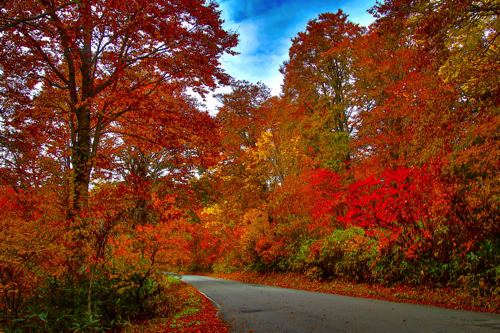 福島】檜枝岐村、南会津町の紅葉！│一人旅研究会