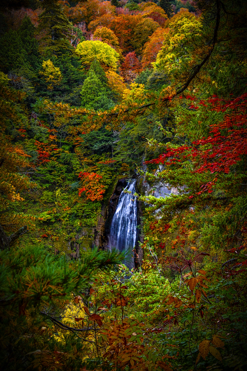 福島】檜枝岐村、南会津町の紅葉！│一人旅研究会
