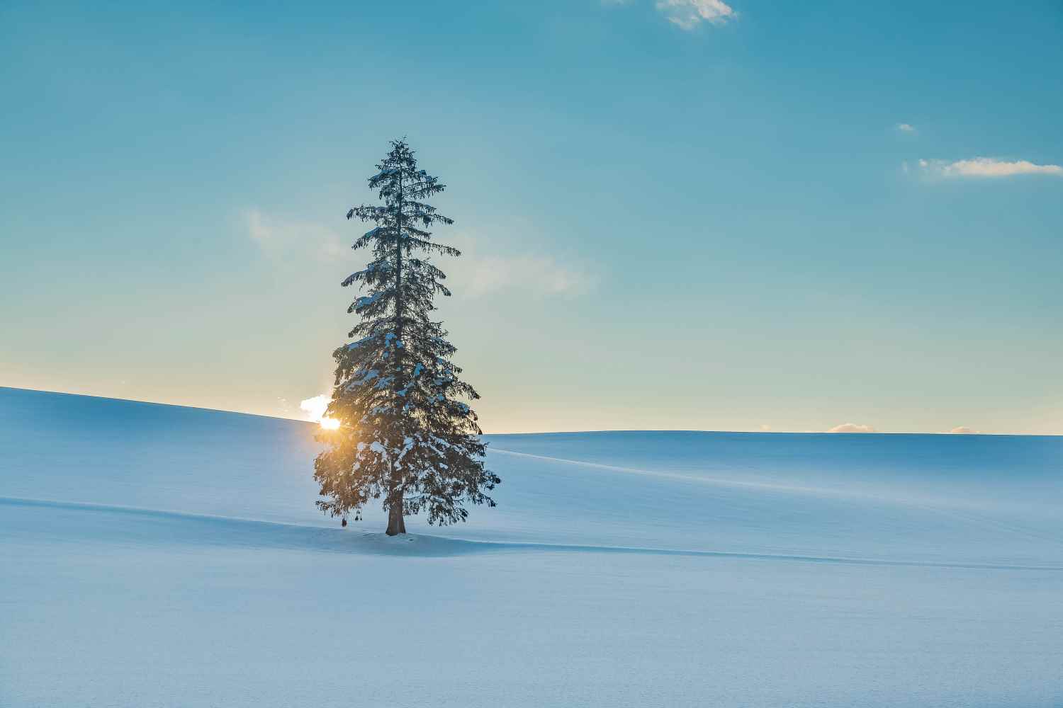 out         ✩NaturalXmas✩雪のつもったキラメクツリー✩⡱ シロクマのfleece jacket for @soto_vintage_market 11/15(土) 11:00