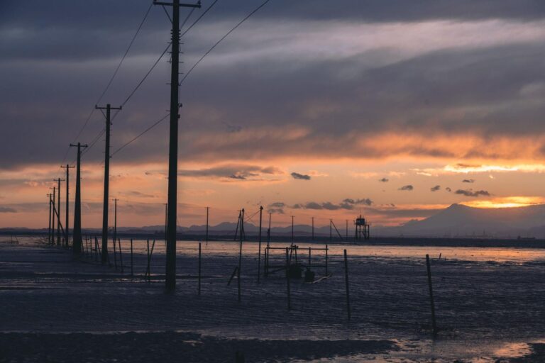 千葉】夕暮れの海中電柱、久津間海岸を散策！│一人旅研究会
