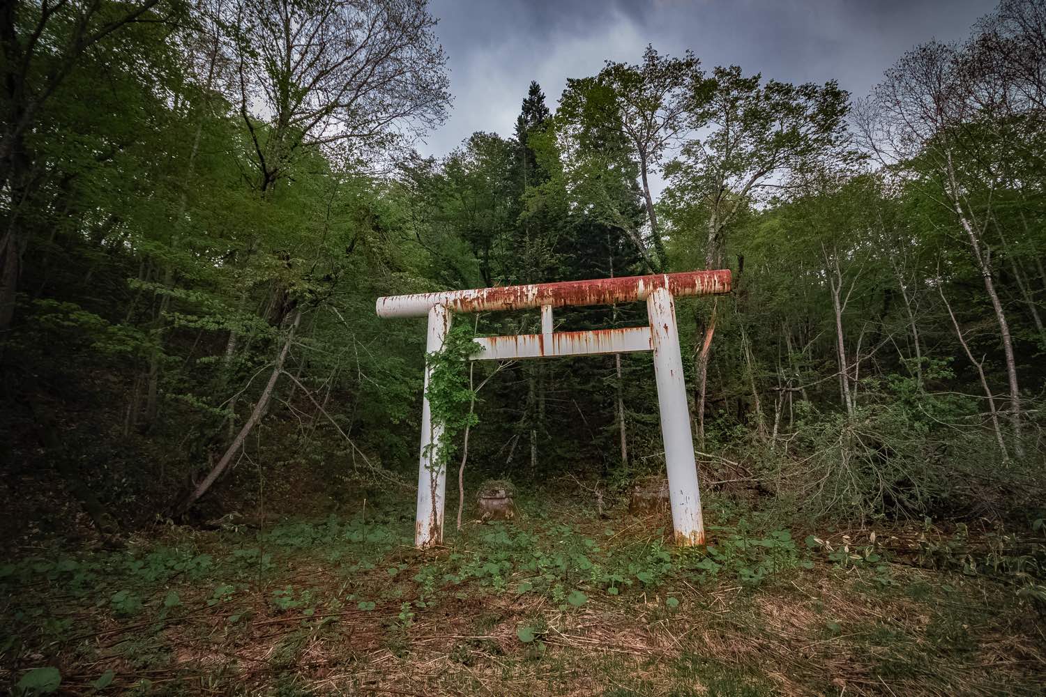 北海道】万字炭山神社跡を散策！│一人旅研究会