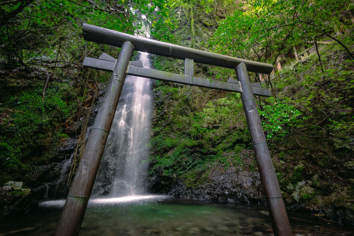 滝ぼん IMG_8079-1.jpg