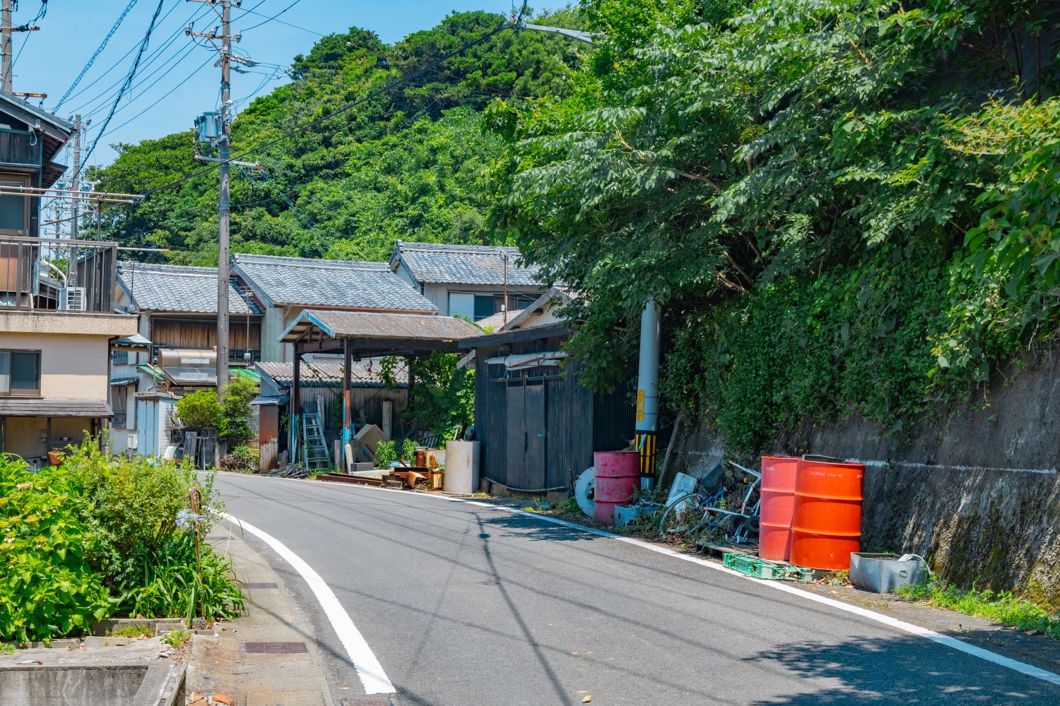 羆青からの縞 確率的に非常に珍しい 三重県産 本性 1条 377970