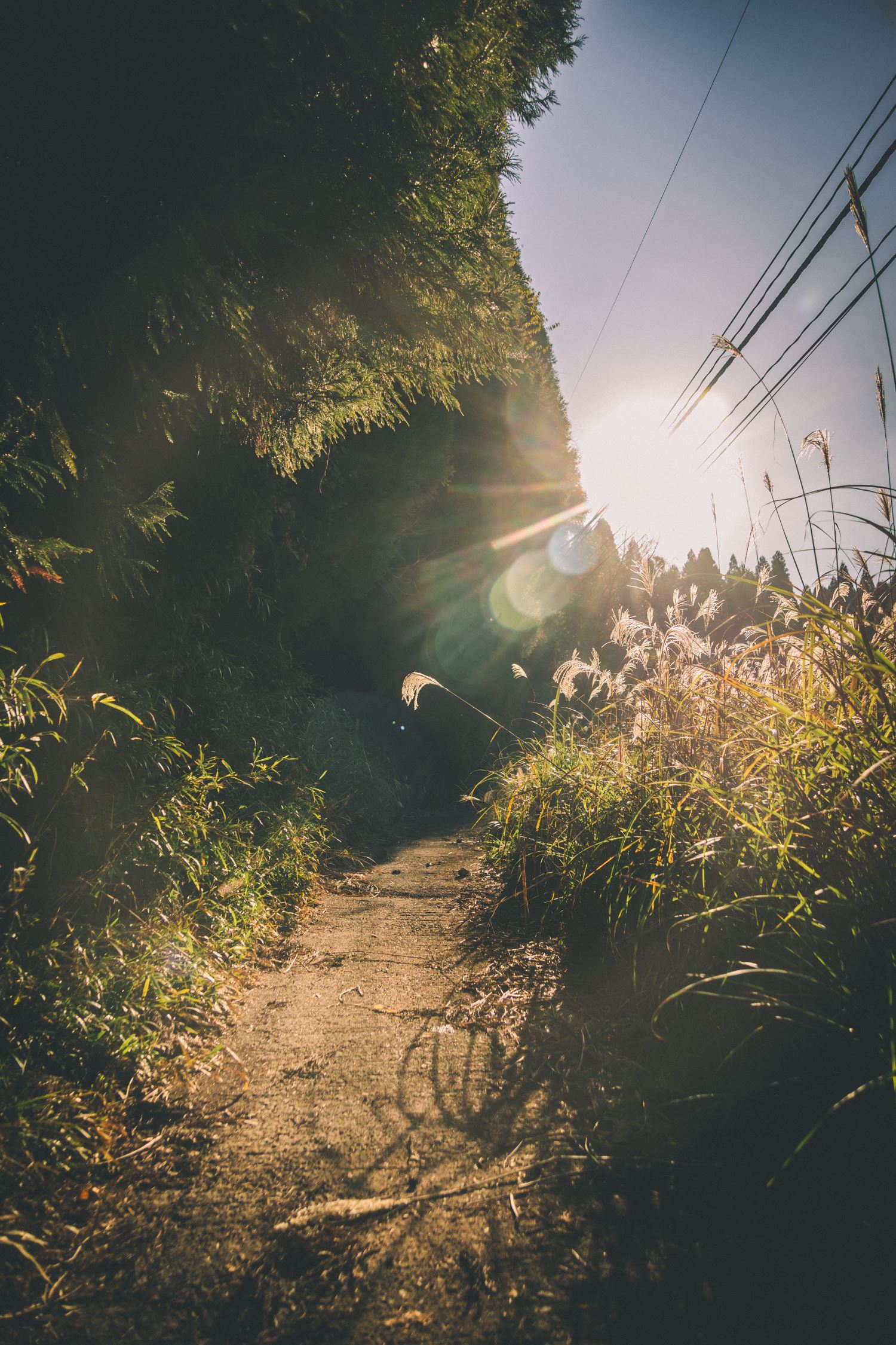 【大分】大石峠の廃隧道を散策!│一人旅研究会
