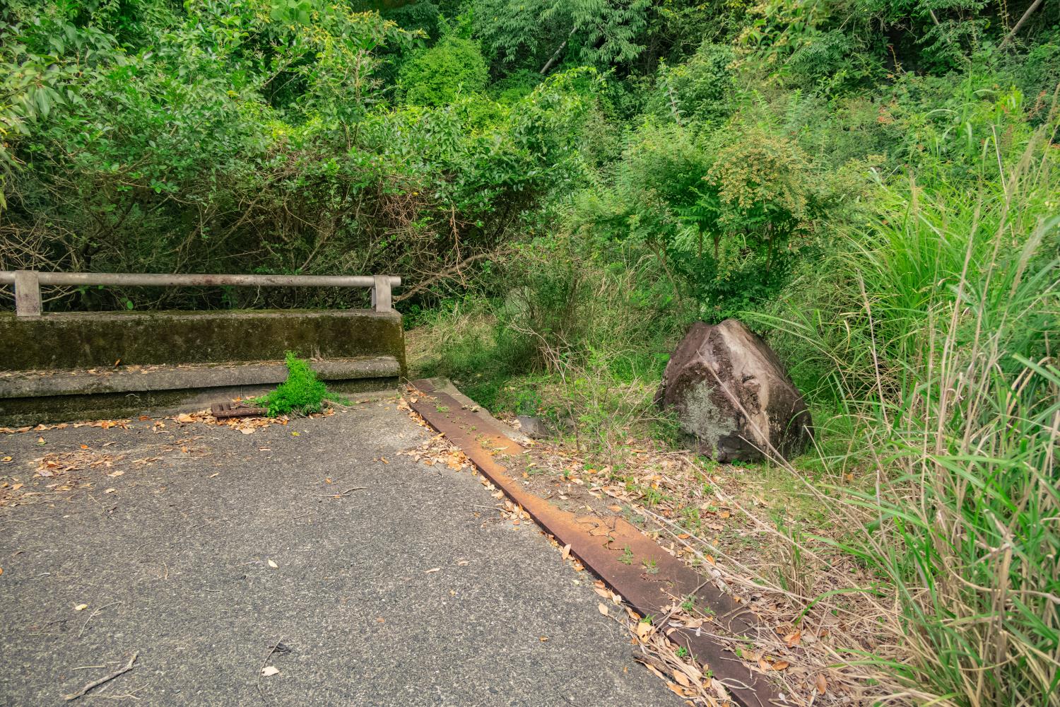 静岡】崩落したまま残る赤沢八幡野連絡橋を散策！│一人旅研究会