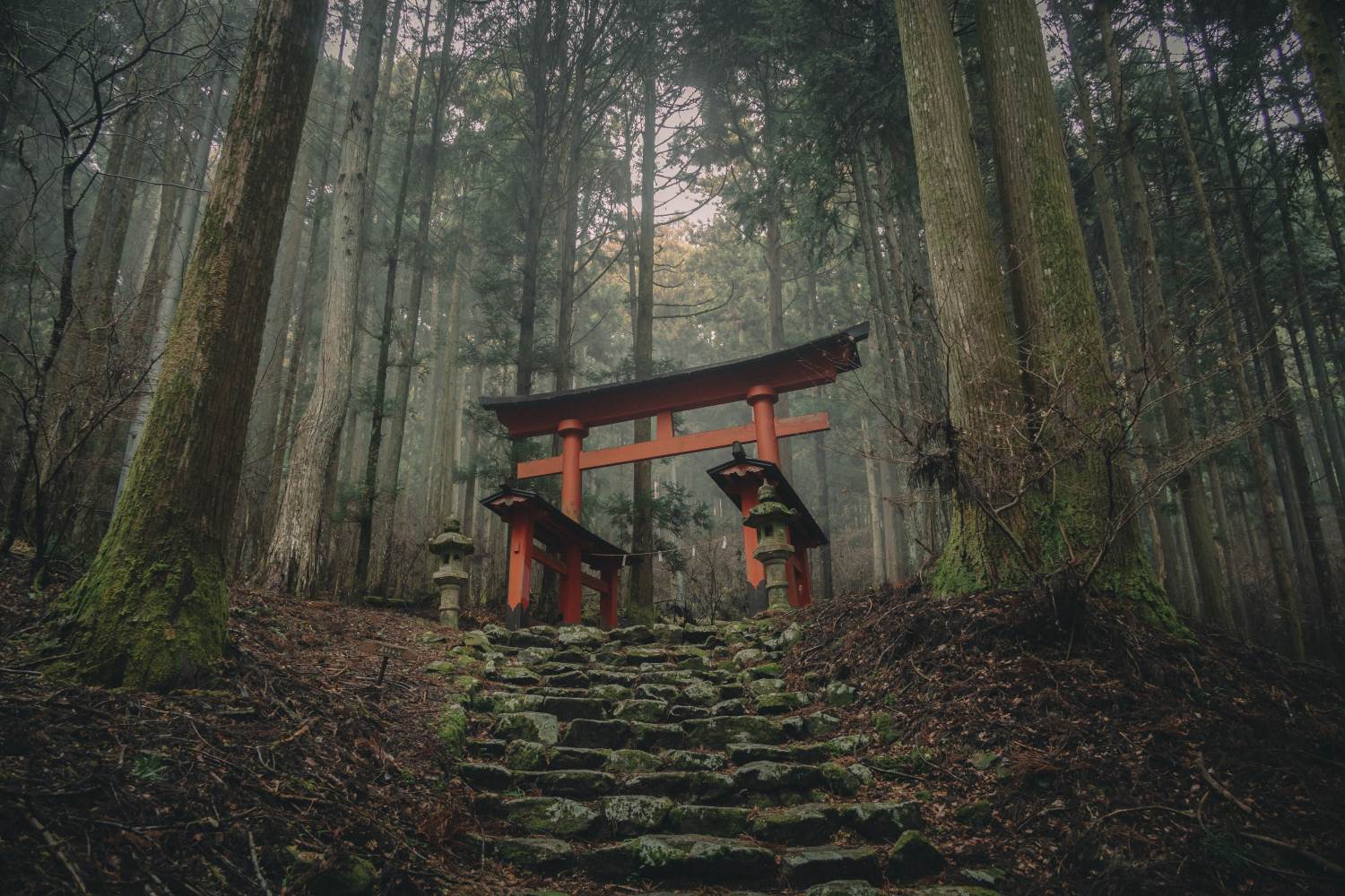 氷室 神社 山梨