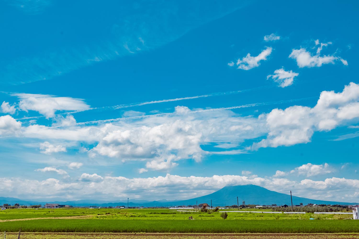 青森】最高に郷愁感じる田舎館の田園風景！│一人旅研究会