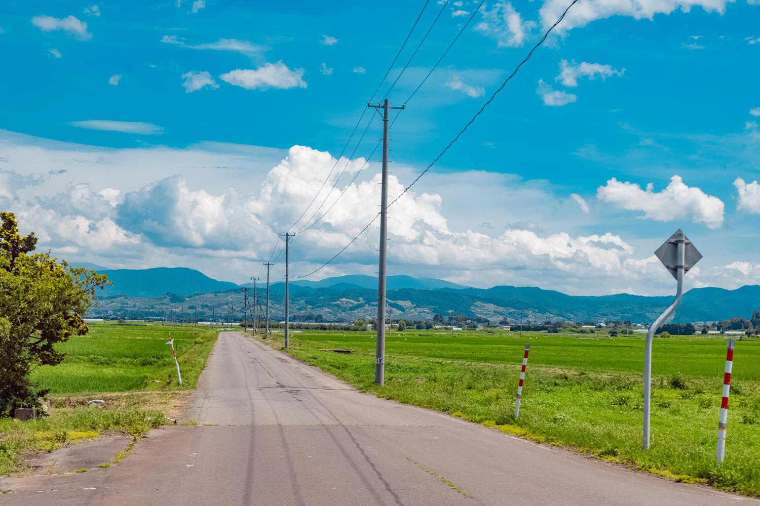 青森】最高に郷愁感じる田舎館の田園風景！│一人旅研究会