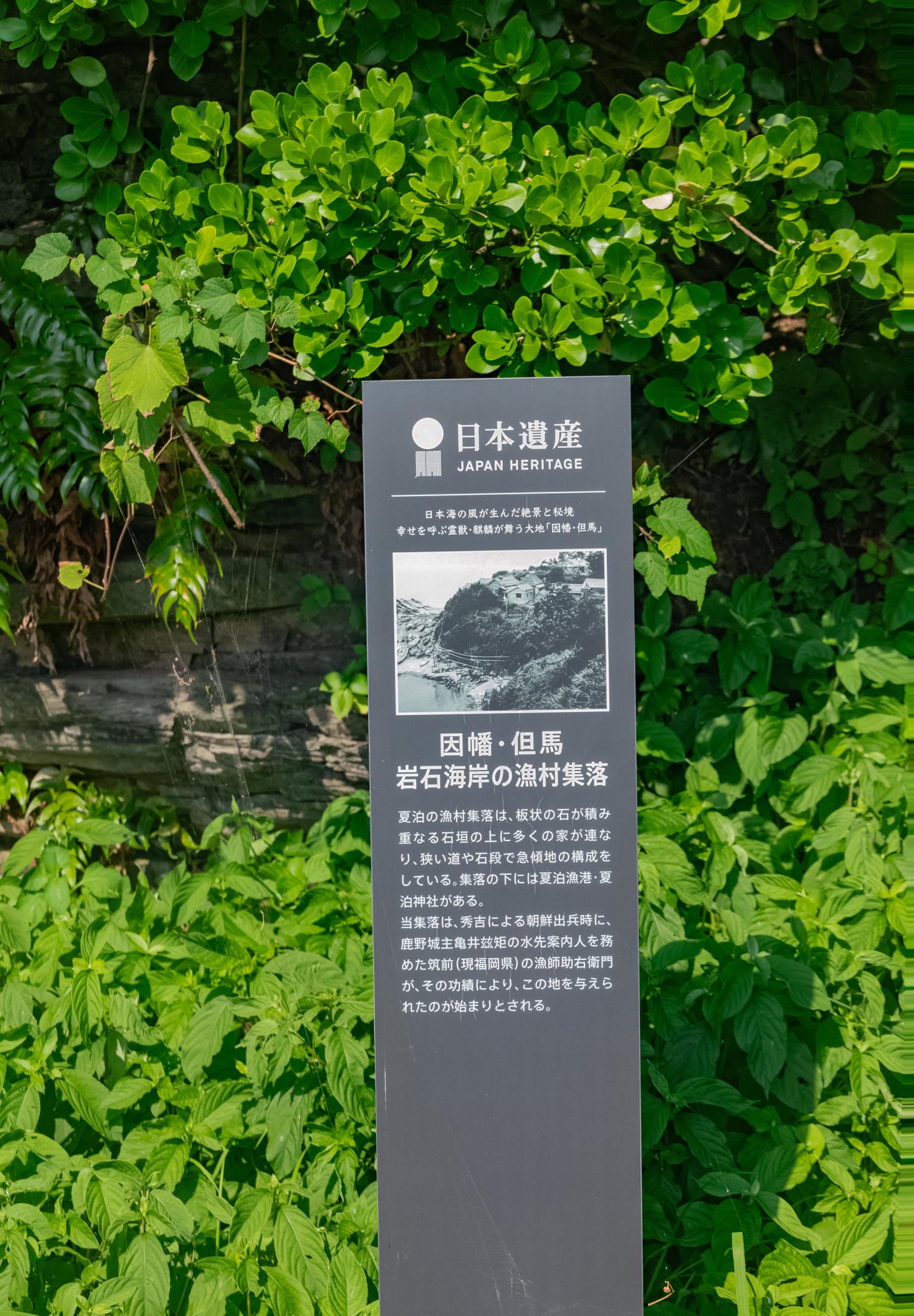 鳥取】美しい日本の漁村、夏泊を散策！│一人旅研究会