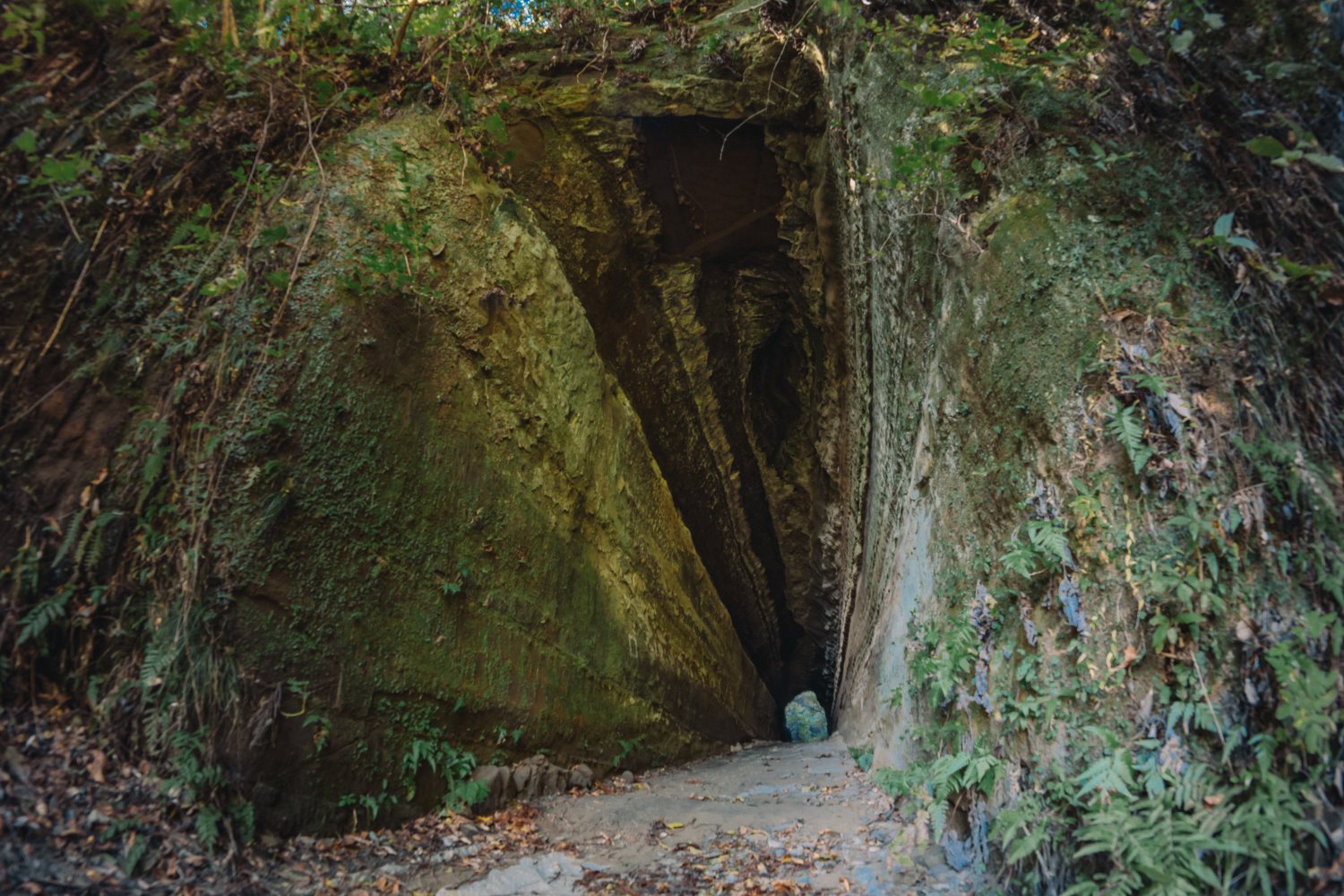 千葉】素掘りの清水代隧道を散策！│一人旅研究会