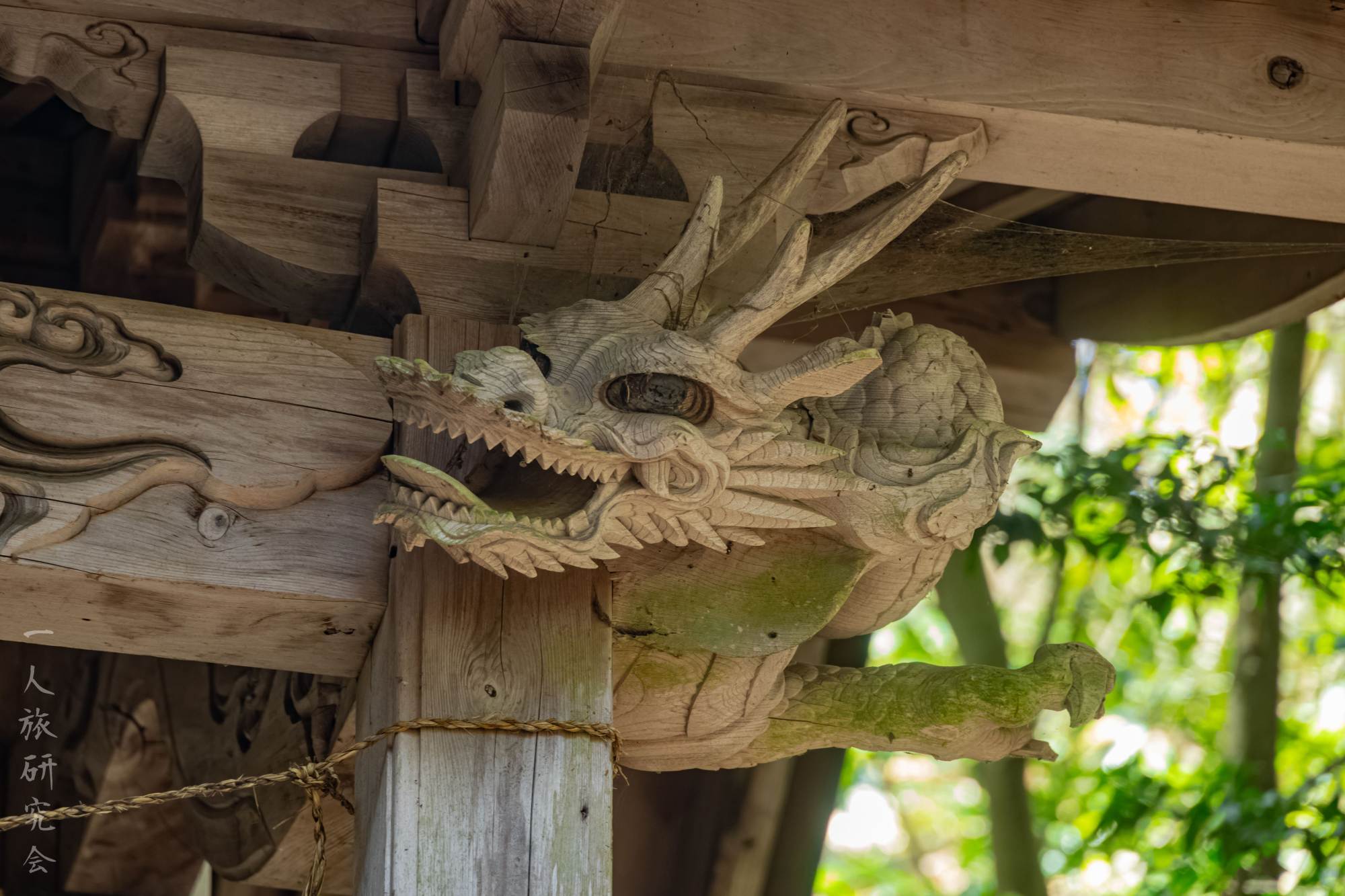 新潟】新発田の雰囲気溢れる神社、藤戸神社を散策！│一人旅研究会