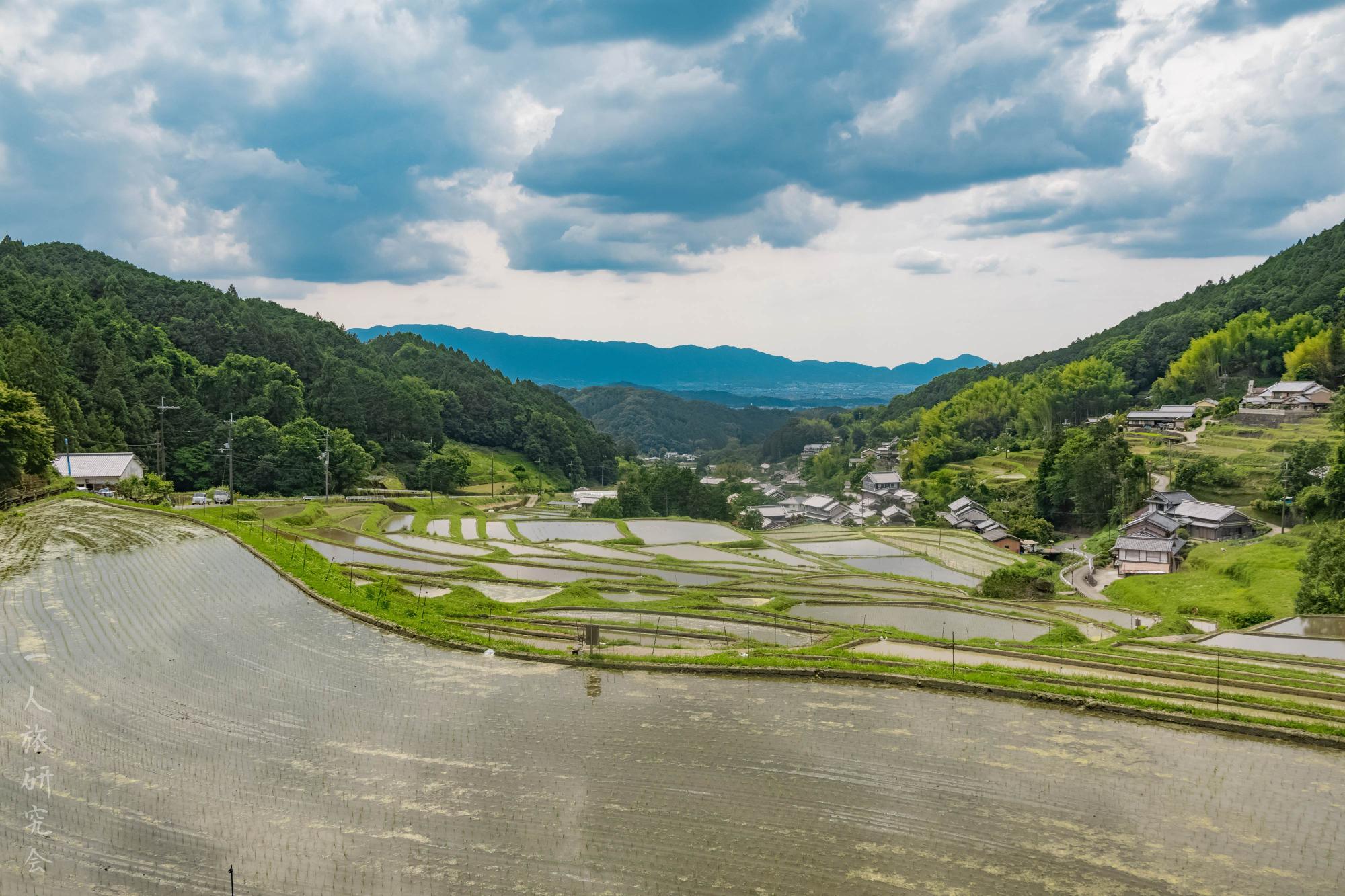 奈良】美しい棚田風景、細川の棚田を散策！│一人旅研究会