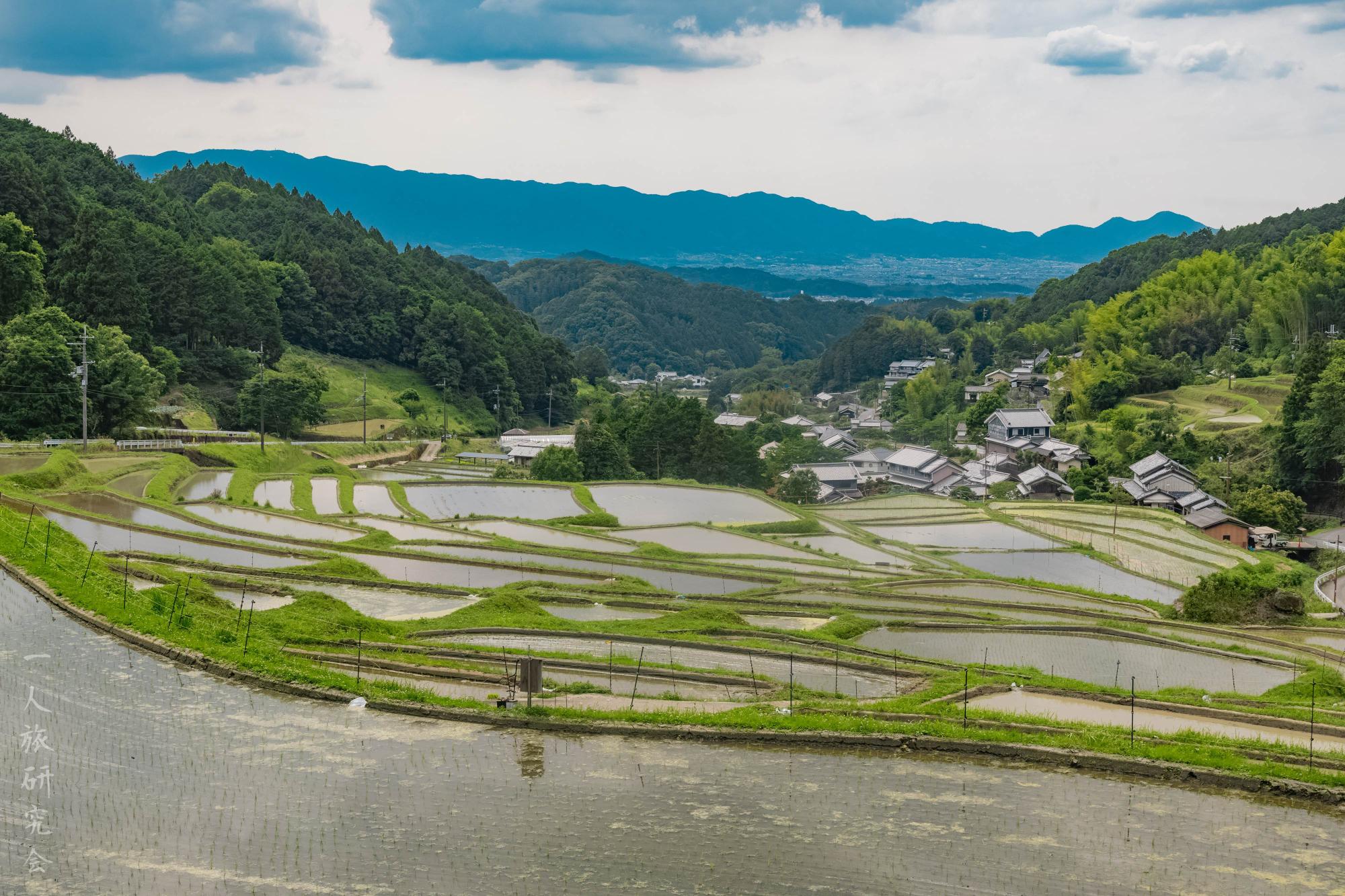 奈良】美しい棚田風景、細川の棚田を散策！│一人旅研究会