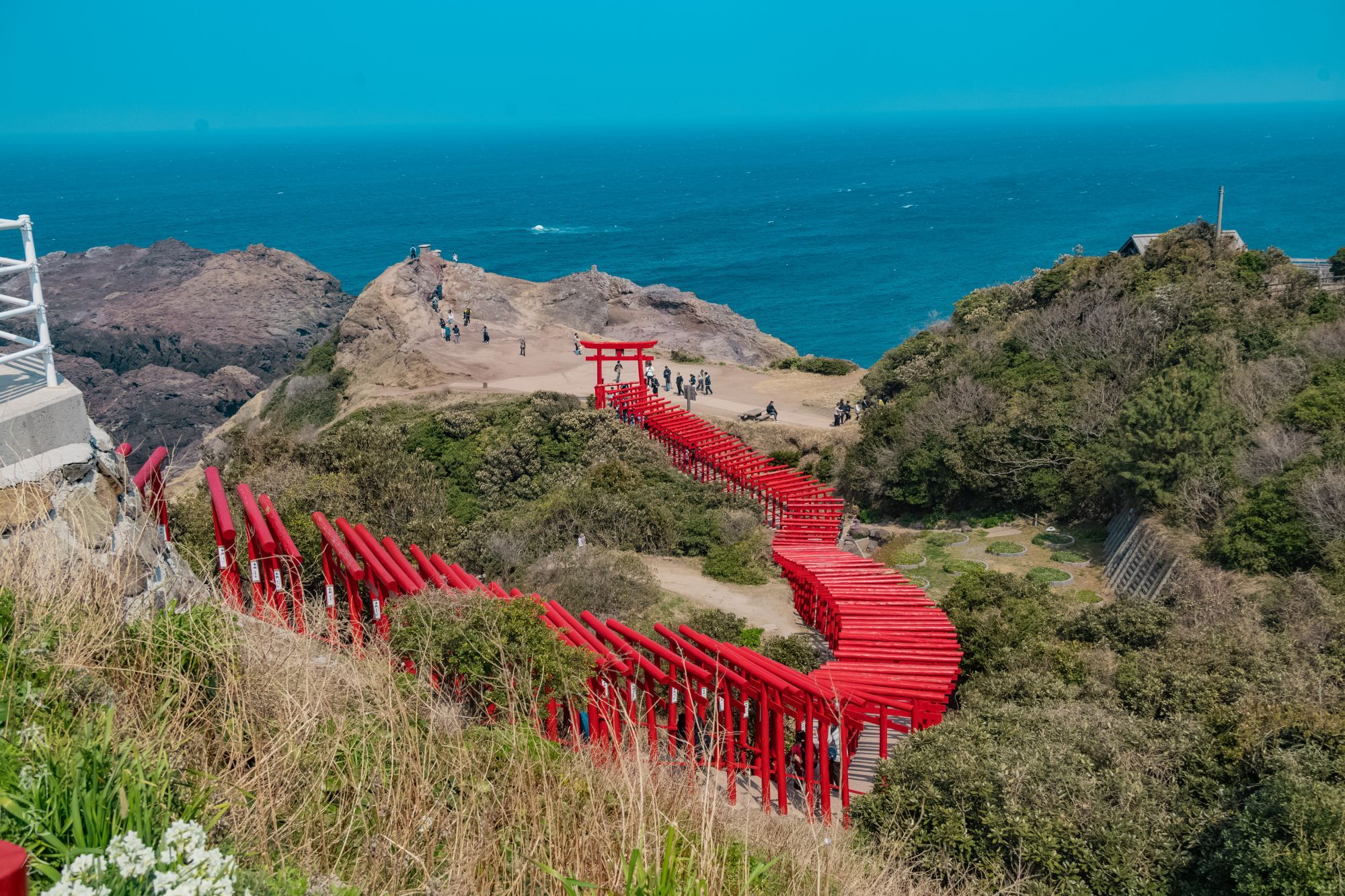 山口】連続鳥居の絶景、元乃隅神社を散策！│一人旅研究会